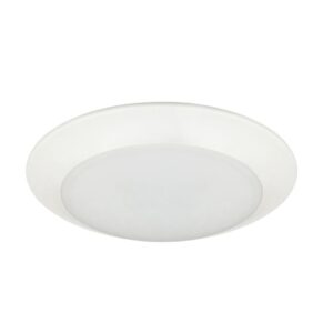 LED Disk Light