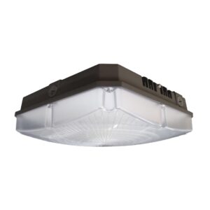 LED Canopy Light