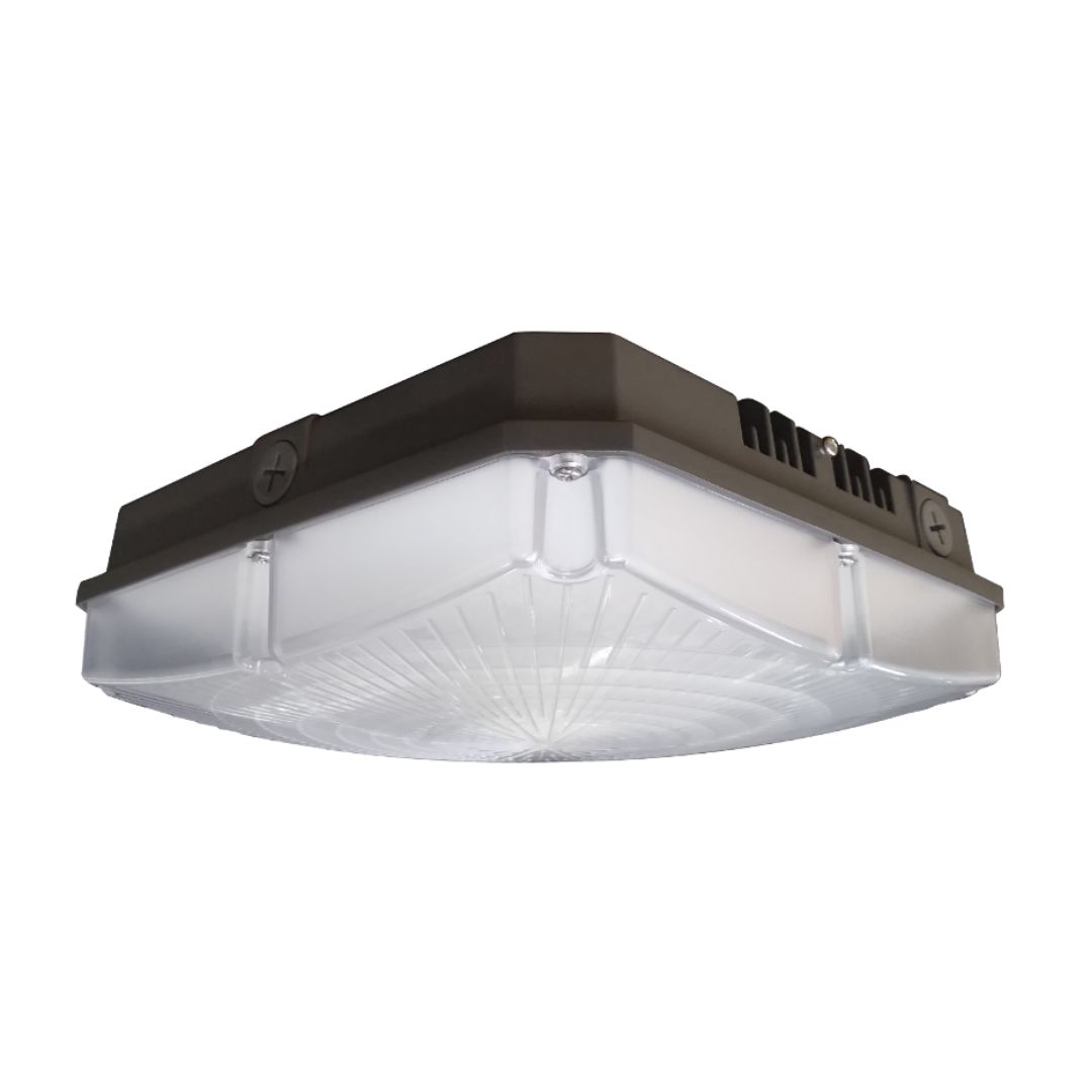 LED Canopy Light
