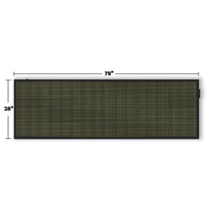 P10 Full Color Display 78"x28"