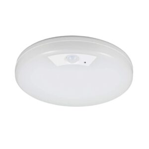 LED Motion Sensing Ceiling Light