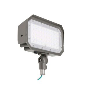LED Flood Light